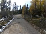 Planica (Planinšek) - Planina Podvežak